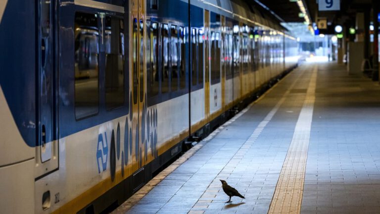 Veel minder treinen in Randstad door defecte sporen