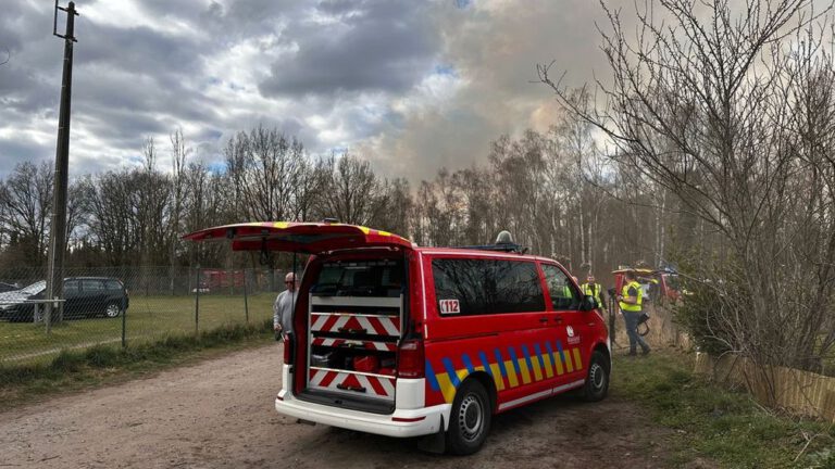 Honderd vierkante meter bos in brand in Zeeuws natuurgebied