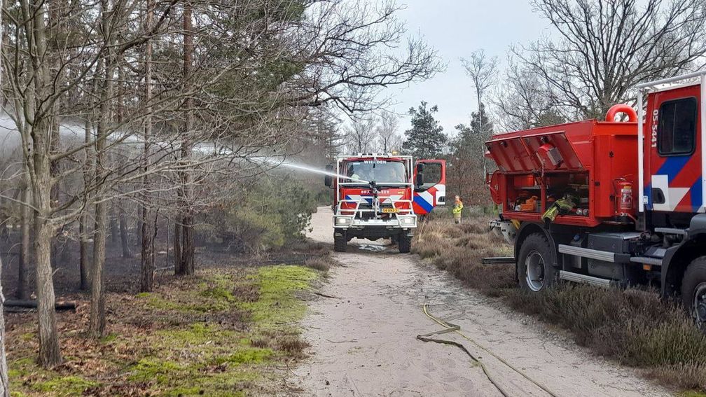 Natuurbrand op Sallandse Heuvelrug onder controle