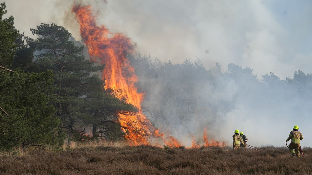 Tientallen natuurbranden vanwege aanhoudende droogte