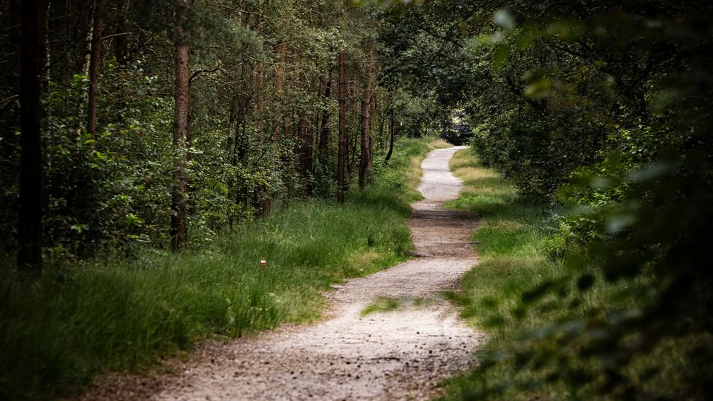 Rookverbod op Utrechtse Heuvelrug om natuurbranden te voorkomen