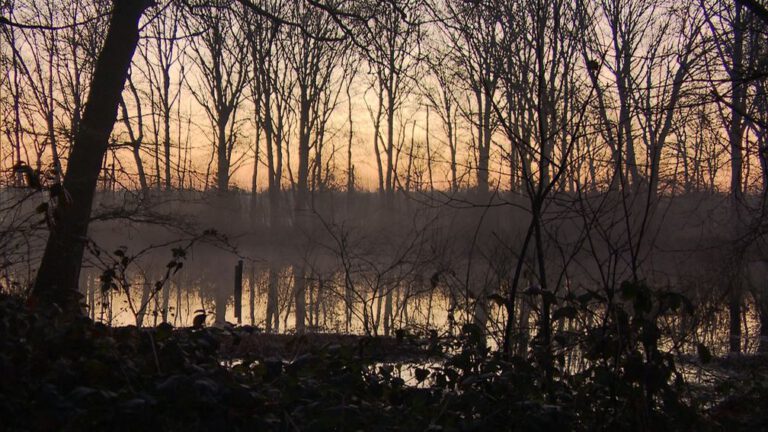 Natuur gaat achteruit door slechte kwaliteit van water