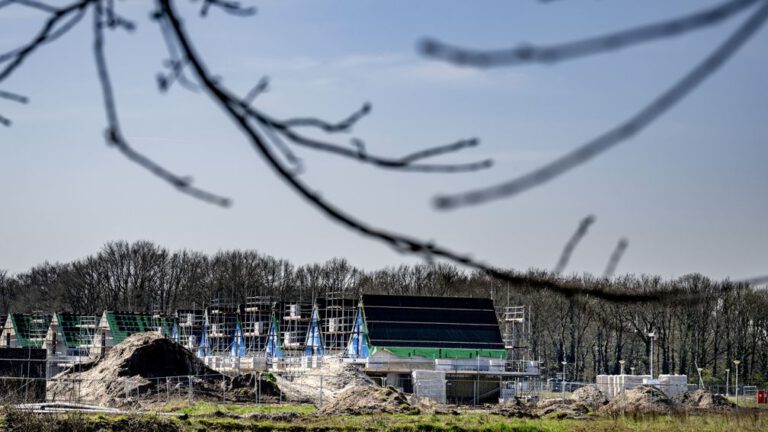 'Derde deel geplande nieuwbouw in gevaar door stikstof'