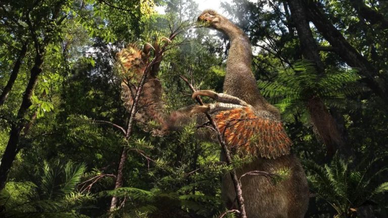 Bizarre tweeklauwige dinosaurus ontdekt in Mongolië