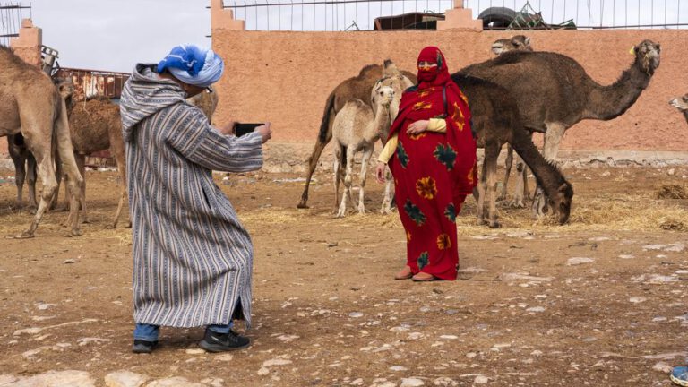 Veertig jaar onderzoek naar Noord-Afrikaanse taal leidt tot uniek woordenboek